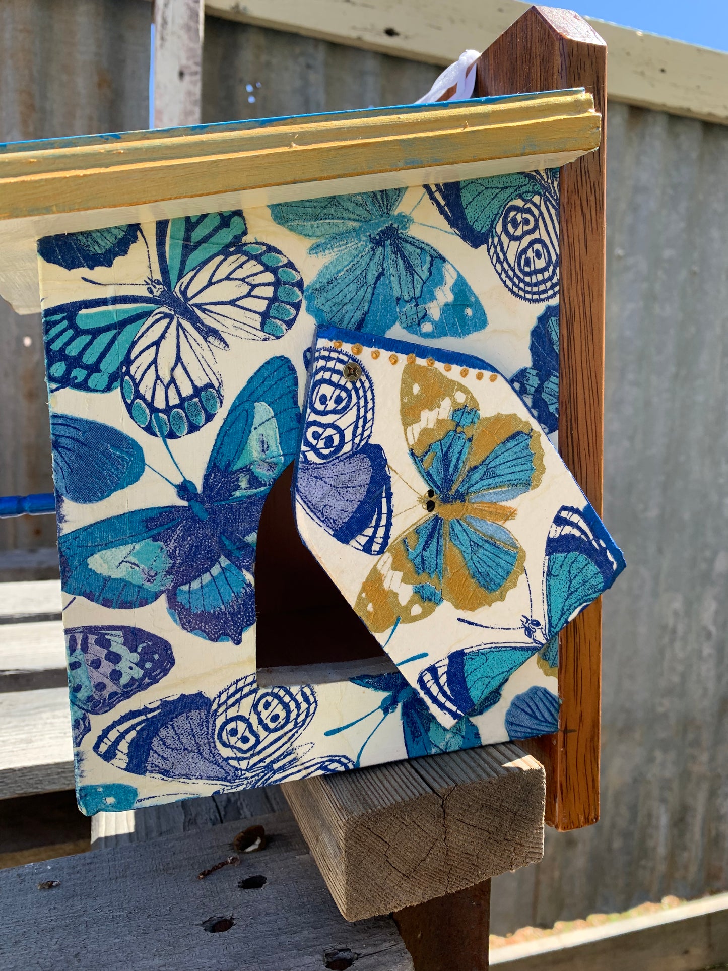 'Blue Butterflies' Sparrow Box #162