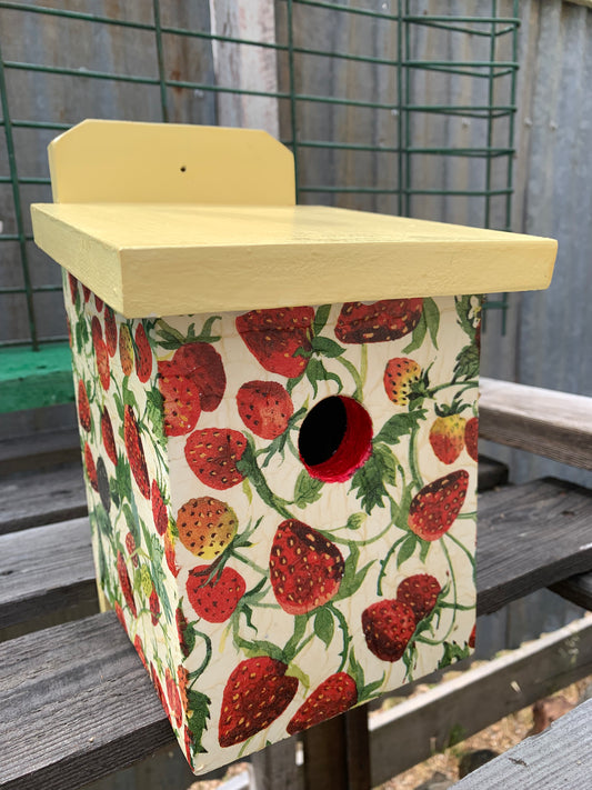 'Strawberry' Sparrow Box #167