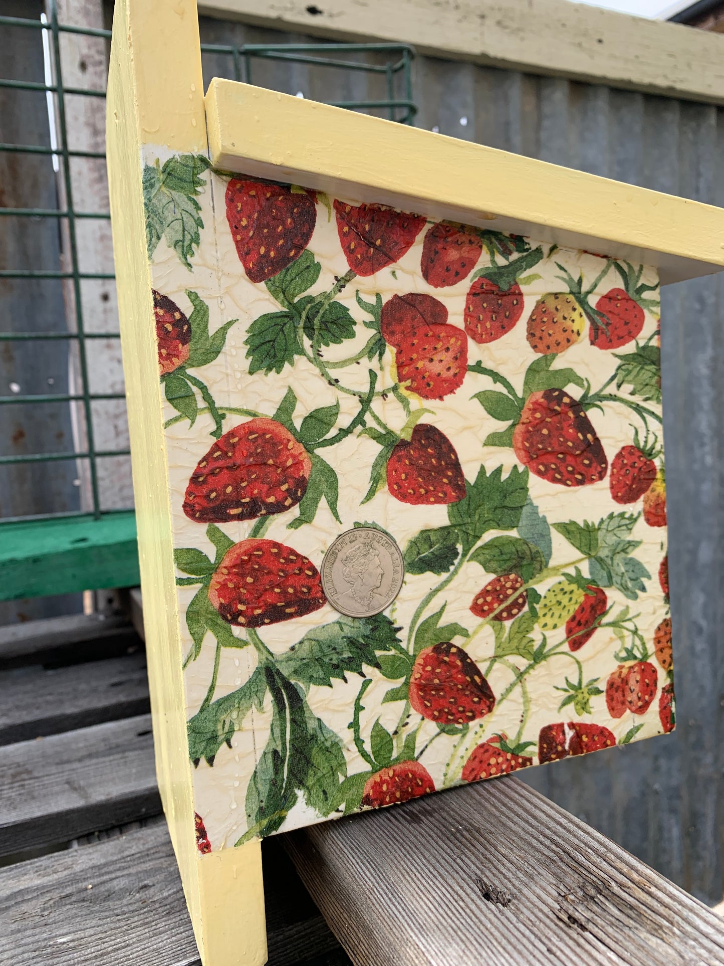 'Strawberry' Sparrow Box #167